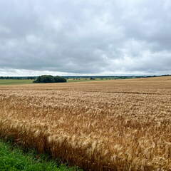 24-06-30 11-07-21 0030